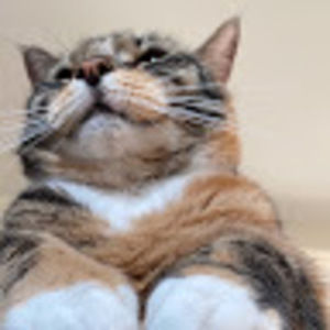 Meet your Posher, Delilah